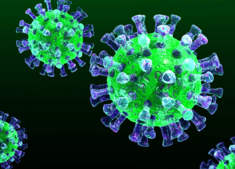 Об организации образовательной деятельности в условиях предупреждения распространения новой коронавирусной инфекции